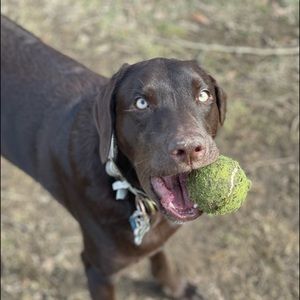 Meet your Posher, Aaron